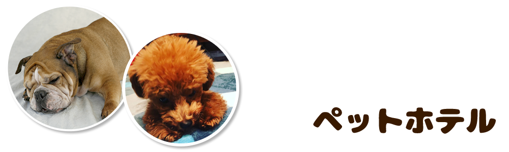 ペットホテル