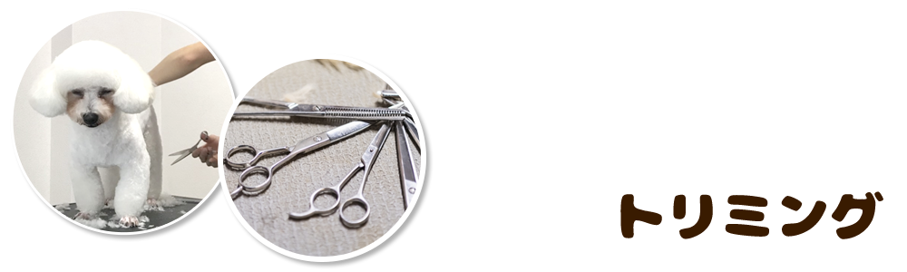トリミング